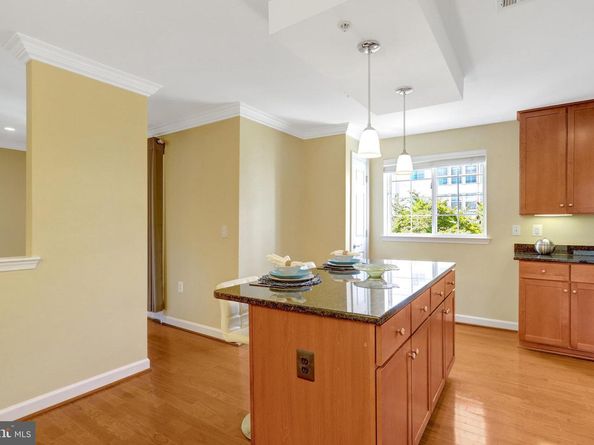 4119 S Four Mile Run Drive 404, Arlington VA 22204