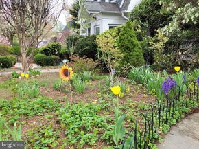 4414 Lowell Street NW, Washington DC 20016
