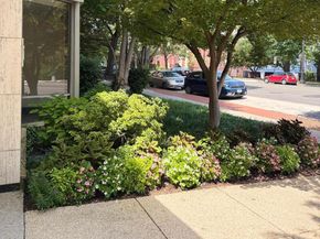 2800 Wisconsin Avenue NW 705, Washington DC 20007