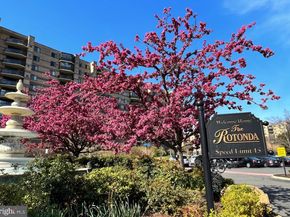 8370 Greensboro Drive 310, Mclean VA 22102