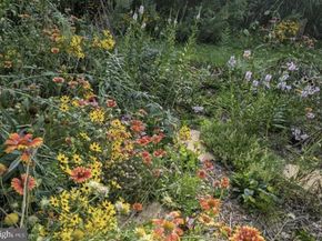 5731 Bradley Boulevard, Bethesda MD 20814