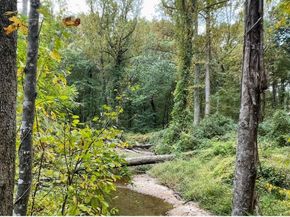 10280 Arizona Circle 63, Bethesda MD 20817