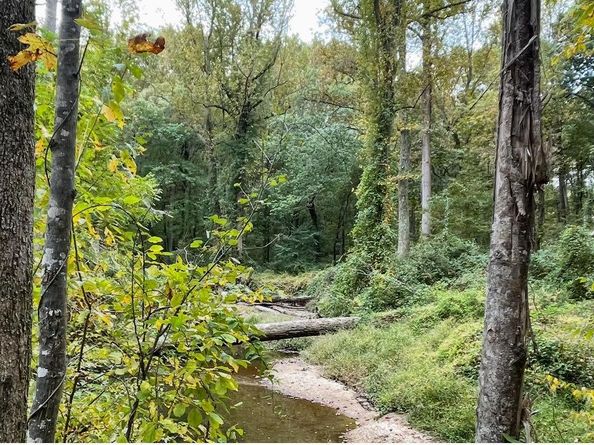 10280 Arizona Circle 63, Bethesda MD 20817