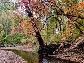 10280 Arizona Circle 63, Bethesda MD 20817