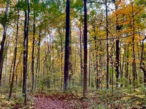 10280 Arizona Circle 63, Bethesda MD 20817