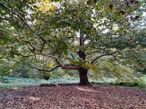 10280 Arizona Circle 63, Bethesda MD 20817