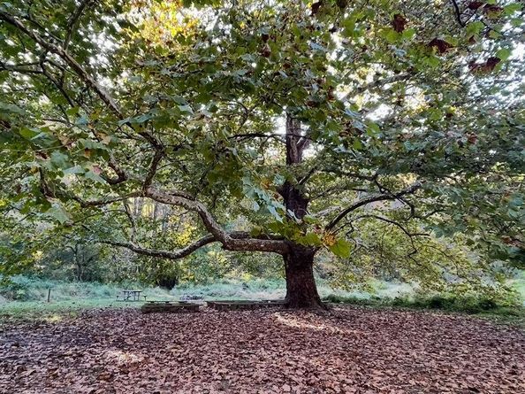 10280 Arizona Circle 63, Bethesda MD 20817