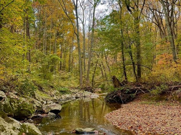 10280 Arizona Circle 63, Bethesda MD 20817