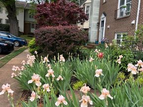 2810 Andiron Lane, Vienna VA 22180