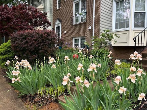 2810 Andiron Lane, Vienna VA 22180