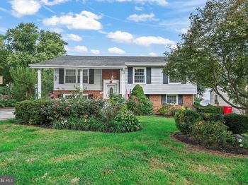 1305 E Maple Avenue