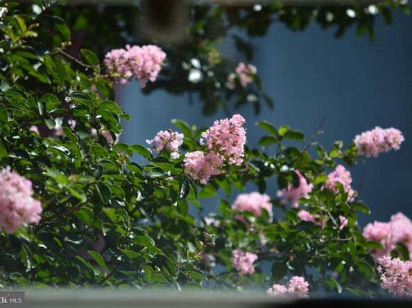 1847 E Harold Street, Philadelphia PA 19125