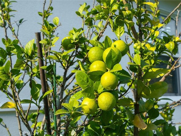 20122 Orchid Street, Newport Beach CA 92660