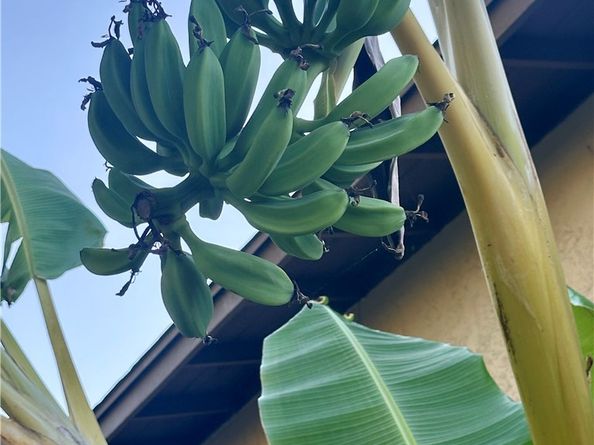 442 Verde Ridge, Spring Valley CA 91977