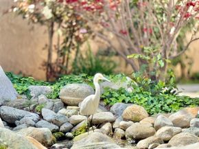 7890 E Spring Street 2F, Long Beach CA 90815