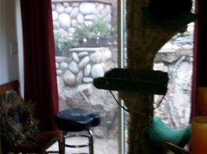 2406 Cazaux Place, Los Angeles CA 90068