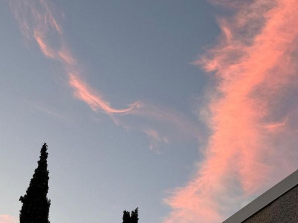 1733 Malcolm Avenue 2, Los Angeles CA 90024