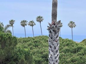 6455 La Jolla Blvd 352, La Jolla CA 92037