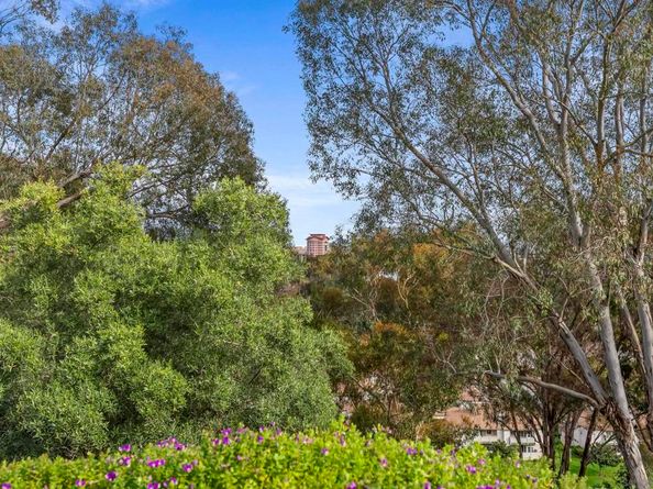 8871 Caminito Primavera, La Jolla CA 92037