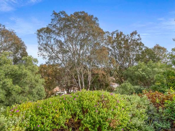 8871 Caminito Primavera, La Jolla CA 92037