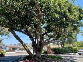 3266 Ashford St M, San Diego CA 92111