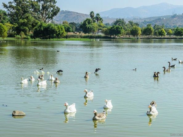 13135 Pam Ln, Lakeside CA 92040