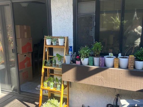 3823 Caminito Litoral 208, San Diego CA 92107