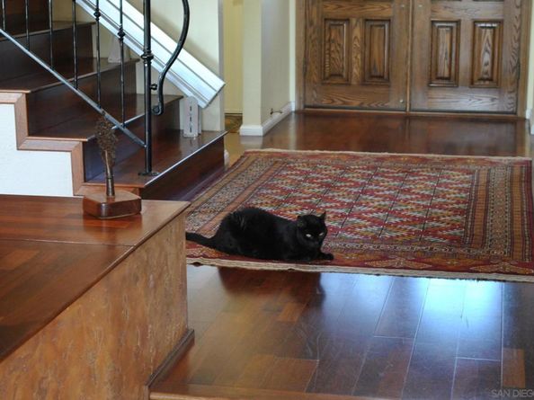 11023 Viacha Dr, San Diego CA 92124