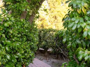 1654 La Jolla Rancho Road, La Jolla CA 92037