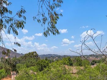 18557 Caminito Pasadero