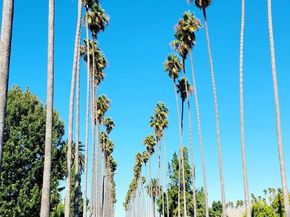 4716 S Van Ness Avenue, Los Angeles CA 90062