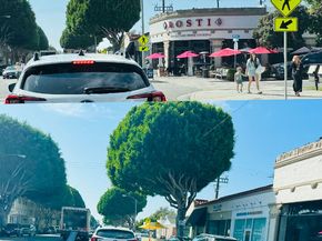 912 6th Street 8, Santa Monica CA 90403