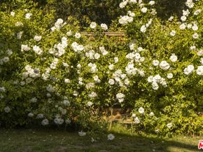 22068 Topanga School Road, Topanga CA 90290