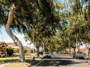 3739 Virginia Road, Los Angeles CA 90016