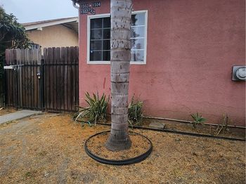 1502 S Redondo Boulevard