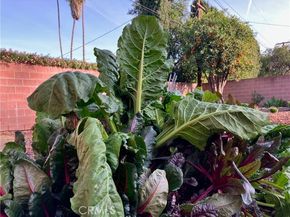 6914 Andasol Avenue, Los Angeles CA 91406