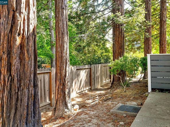 650 Fig Tree Ln, Martinez CA 94553