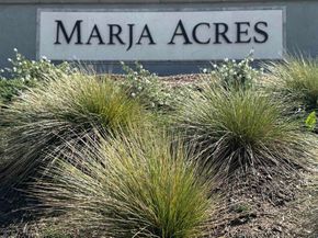 4672 Catmint Lane, Carlsbad CA 92008