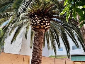 102 Trafalgar Lane, San Clemente CA 92672