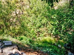 29501 Silverado Canyon Road, Silverado Canyon CA 92676