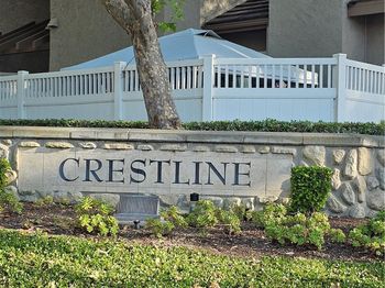 24377 Larchmont Court