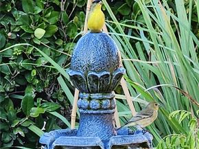 1534 Sunny Crest Drive, Fullerton CA 92835