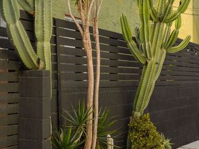 3039 Vineyard Avenue, Los Angeles CA 90016