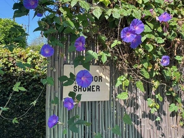 2602 N Louise, Santa Ana CA 92706