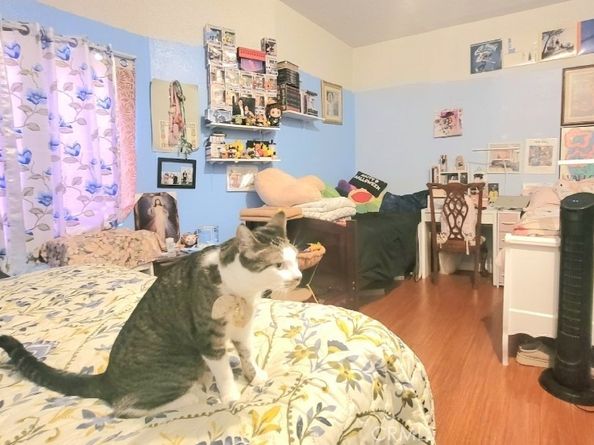 1508 W 28th Street Street, Los Angeles CA 90007