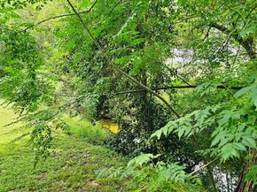 5107 Leralynn ST 304, Austin TX 78751