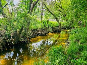 5107 Leralynn ST 304, Austin TX 78751