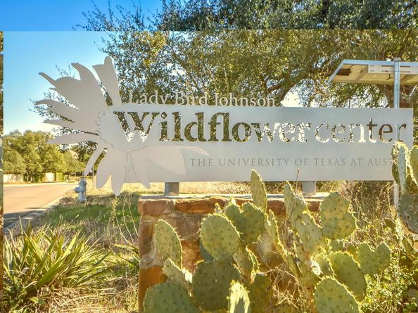 8824 Colberg DR, Austin TX 78749