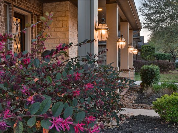 25018 Stillhouse Springs Drive, Porter TX 77365