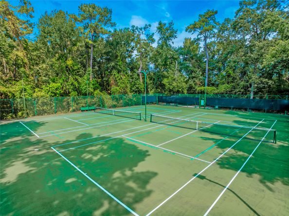 31702 Cotton Forest Court, Spring TX 77386